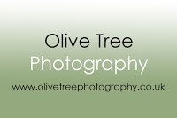 Olive Tree Photography 1072930 Image 0